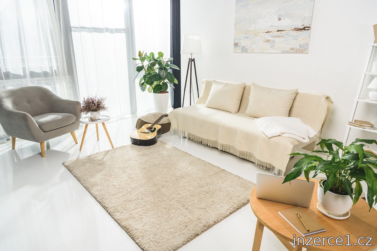 Prodej bytu 2+kk 45 m², Písek